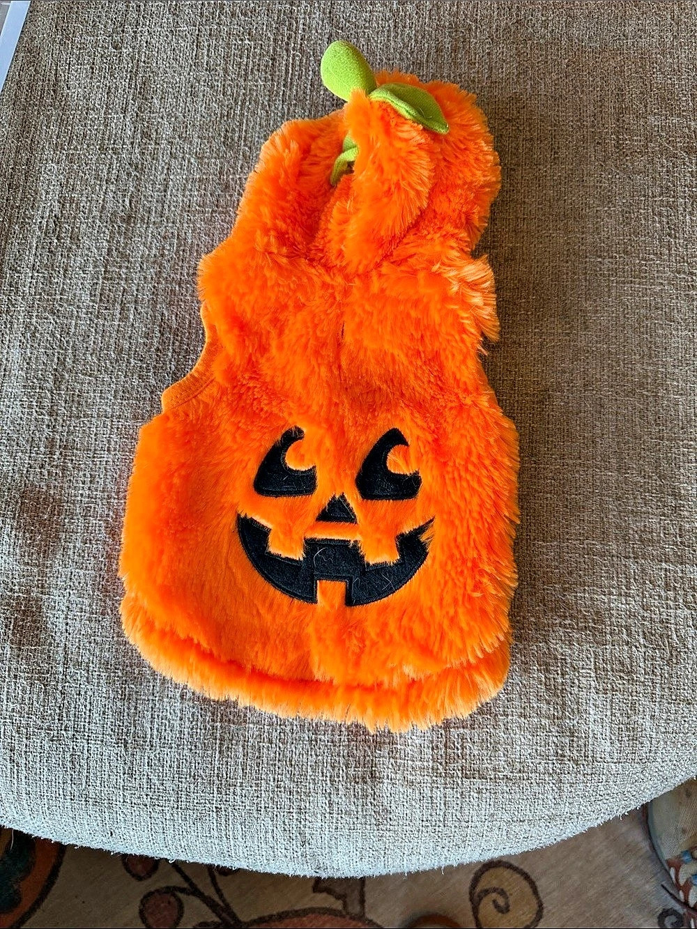 Jack-O-Lantern Pumpkin Halloween Hoodie Dog and Cat